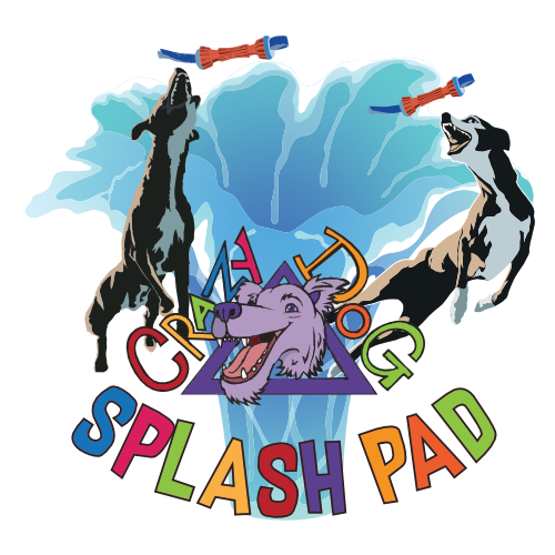 Two playful greyhounds with water splash and colorful text reading Greyhound Splash Pad