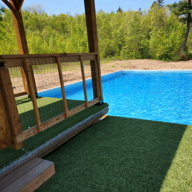 Outdoor swimming pool with clear blue water next to a wooden structure and artificial grass, surrounded by trees